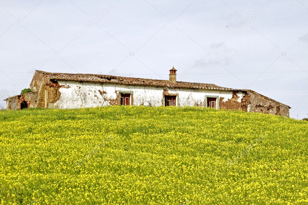 Typical portuguese landscape in springtime
