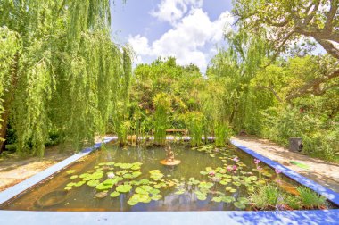 Beautiful garden with a little pond in the middle clipart