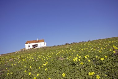 eski Portekizce house bahar mavi gökyüzü karşı çiçekli alanları Portekiz