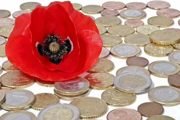 Червона квітка в золотих монетах ізольована на білому тлі — стокове фото