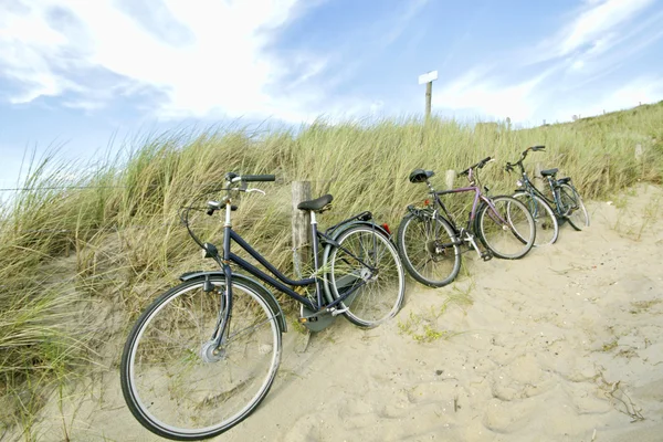 Tre sykler parkert mot sanddyner – stockfoto