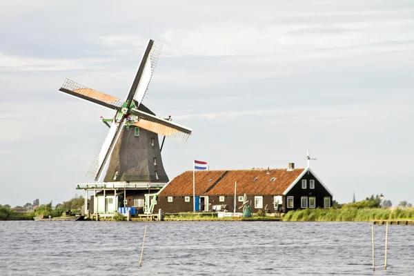 Wiatrak w zaanse schans w Holandii — Zdjęcie stockowe