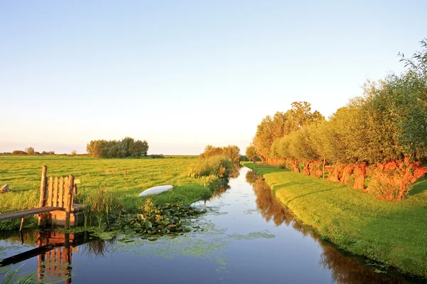 Hollanda tipik kırsal Hollandalı peyzaj — Stok fotoğraf