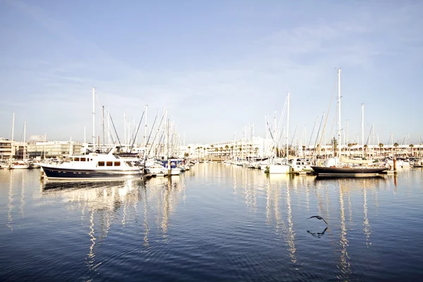 Segling i hamnen av lagos portugal — Stockfoto
