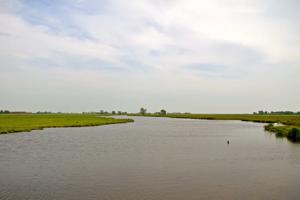 네덜란드에 있는 전형적인 시골 네덜란드 풍경 — 스톡 사진