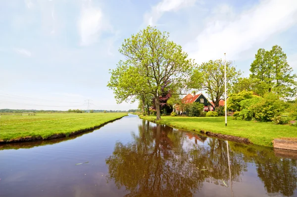 Tipikus holland táj: víz, a mezők és a fák — Stock Fotó
