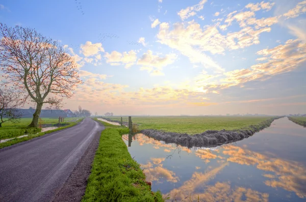 Tipikus holland táj naplementekor — Stock Fotó