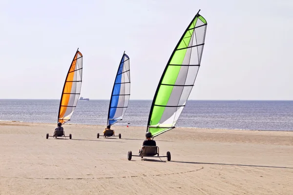 Sail carting at the north sea coast in the Netherlands — Stock Photo, Image