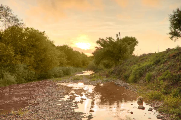 stock image River with contaminated brown water