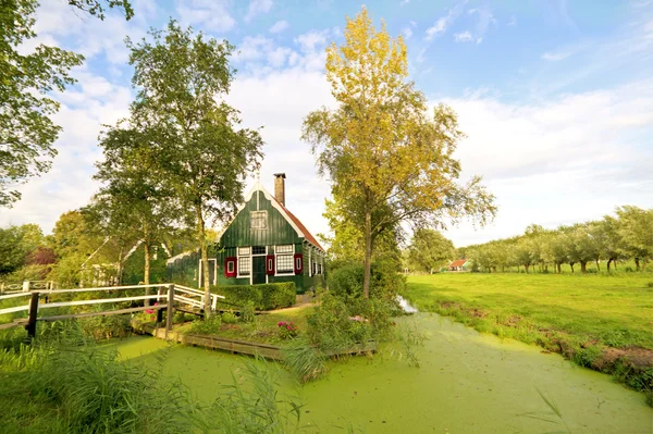 Paysage typique d'été hollandais aux Pays-Bas — Photo
