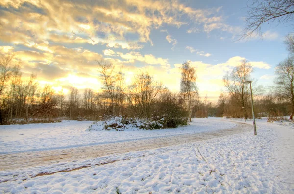 Snowy countryroad in the Netherlands in winter — Stock Photo, Image