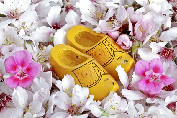 Wooden shoes from the Netherlands — Stock Photo, Image