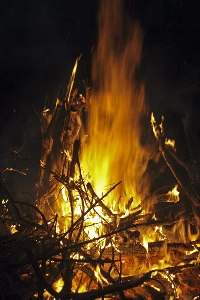 大火災の炎の木 — ストック写真
