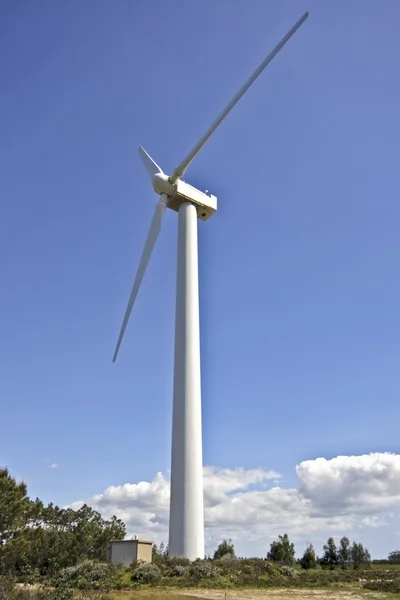 Énergie verte propre, éolienne dans la nature du Portugal — Photo