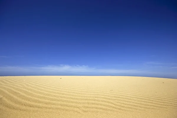 stock image Sanddunes and a blue sky in Portugal