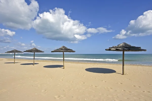 Yaz aylarında güneş şemsiyeleri sahilde — Stok fotoğraf