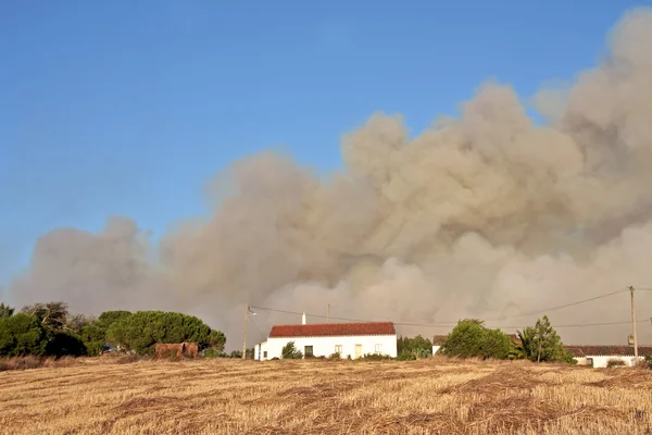 Ogień wielki Las w okolicach z Portugalii — Zdjęcie stockowe