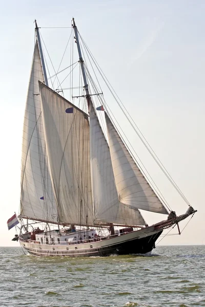 Tradycyjne żaglówkę żeglarstwo na ijsselmeer w Holandii — Zdjęcie stockowe