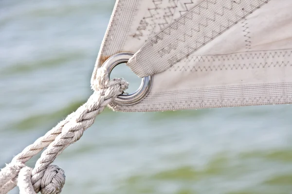 Detail Genua Sail — Stock Photo, Image