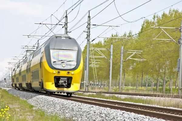 Tåg kör på landsbygden från Nederländerna — Stockfoto