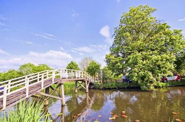 Hollanda tipik kırsal Hollandalı peyzaj — Stok fotoğraf