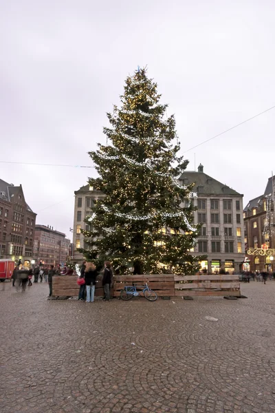 Vánoční strom na přehradě palác — Stock fotografie