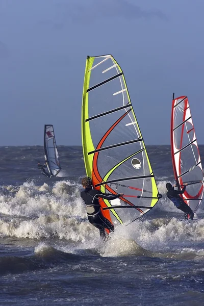 Selancar angin di laut utara di Belanda — Stok Foto
