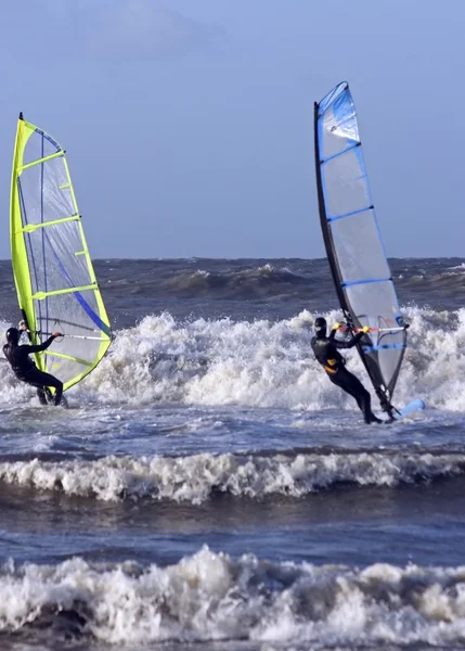 Selancar angin di laut utara di Belanda — Stok Foto