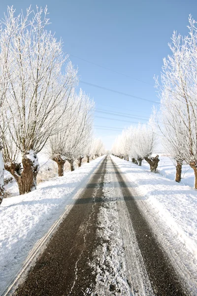 Snowy countryroad, in the countryside from the Netherlands — Stock Photo, Image
