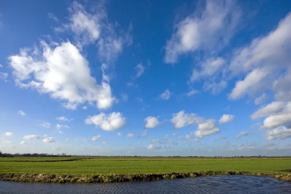 전형적인 네덜란드 풍경 — 스톡 사진