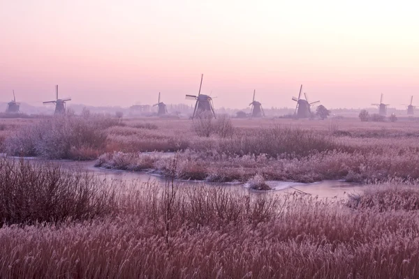 stock image Purple sunset in wintertime in the Netherlands