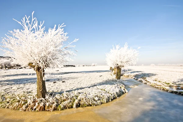 Inverno nos Países Baixos — Fotografia de Stock