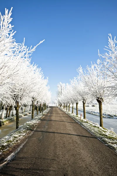 Snöiga countryroad, på landsbygden från Nederländerna — Stockfoto