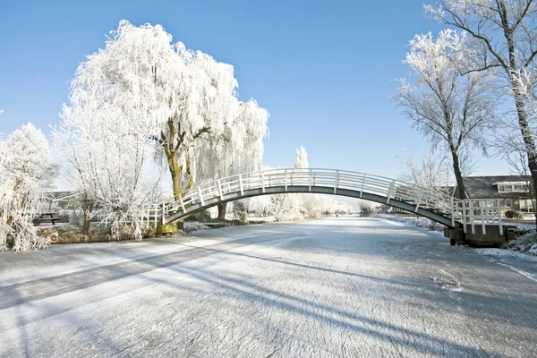 Zima w Holandii — Zdjęcie stockowe
