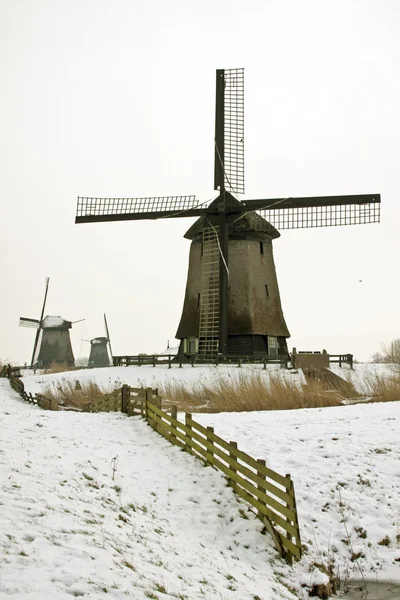 Traditionelle Windmühle im Winter in den Niederlanden — Stockfoto