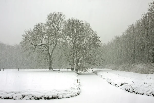 Snowy countryroad in the Netherlands in winter — Stock Photo, Image