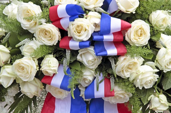 Vita rosor med den nederländska nationella flaggan — Stockfoto