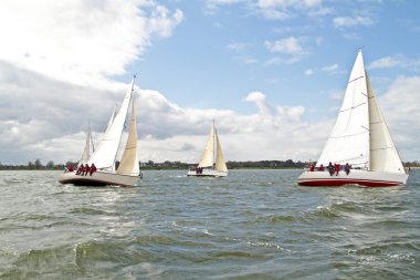 Sailing on the IJsselmeer in the Netherlands clipart