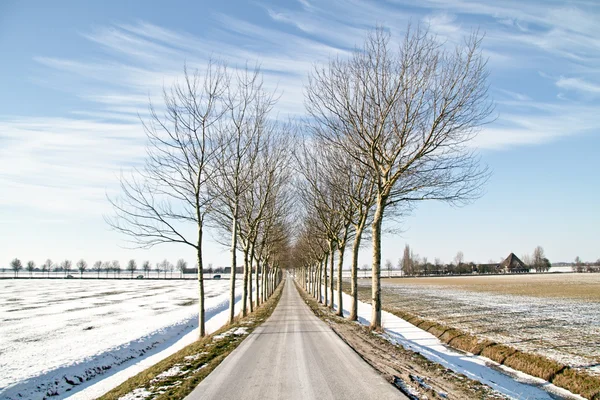 Vinter på landet fra Nederland – stockfoto