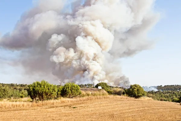 Skogsbrand på landsbygden från portugal — Stockfoto