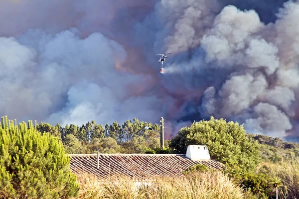Helicópteros luchando contra el incendio forestal en el campo desde Por —  Fotos de Stock