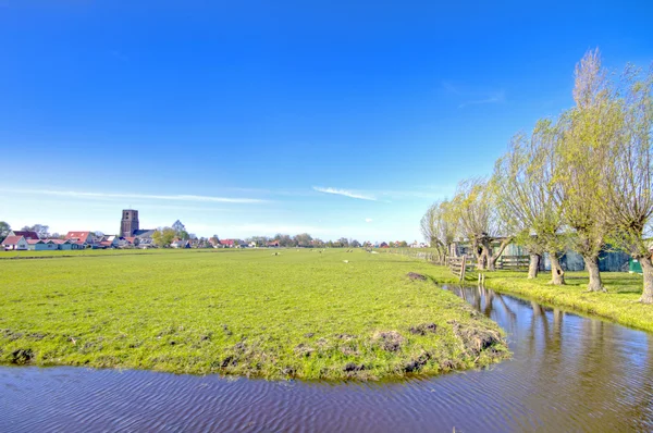 Paisaje holandés típico en primavera en los Países Bajos —  Fotos de Stock