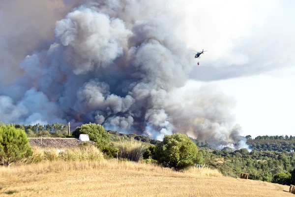 Bosbrand in het platteland van portugal — Stockfoto