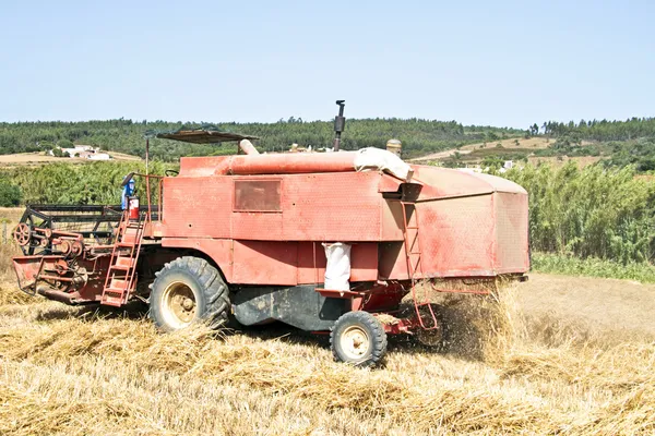Jordbruket maskin skörda vete — Stockfoto