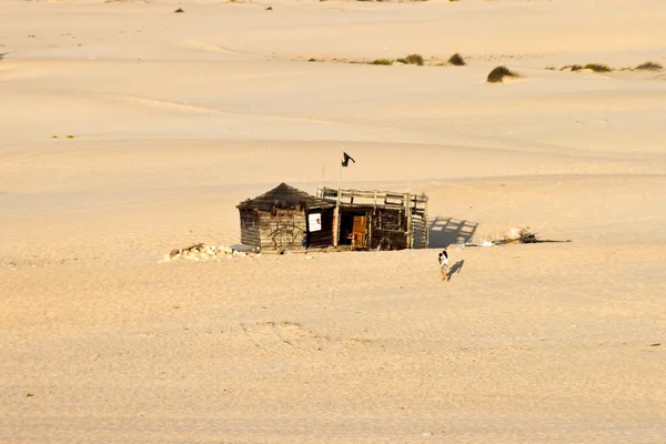 Ensomt hus i ørkenen – stockfoto