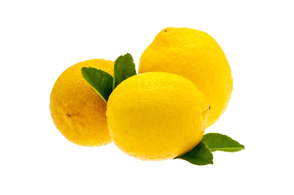 레몬 과일 — 스톡 사진