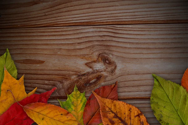 Vecchie travi in legno — Foto Stock