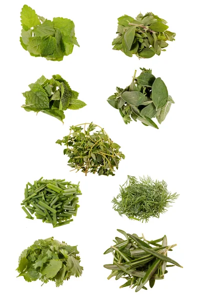 stock image Nine herbs