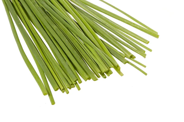 stock image Chives herb