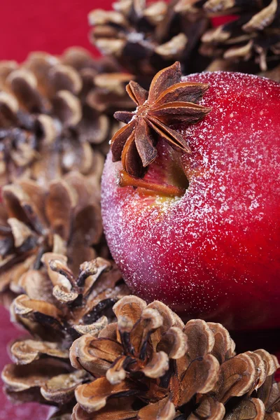 Μήλο και πεύκο κώνους χειμώνα — Φωτογραφία Αρχείου